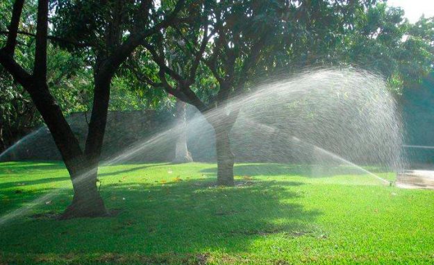 Empresas de Jardinería en Madrid Empresas de Jardinería en Madrid